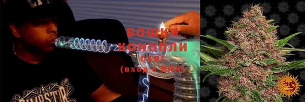 трава Новозыбков