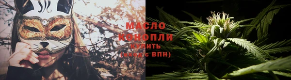 трава Новозыбков