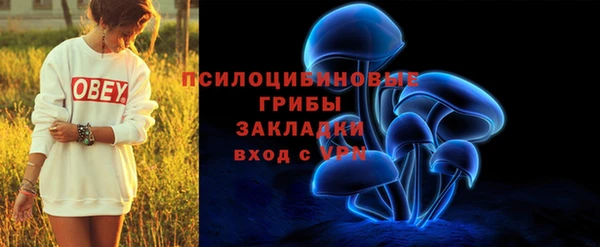каннабис Новодвинск