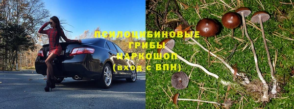 трава Новозыбков