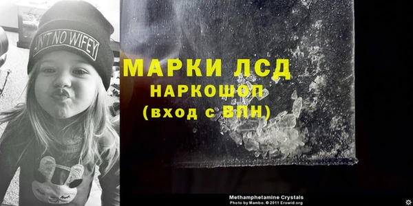 трава Новозыбков